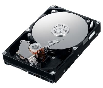 DELL used SAS HDD N226K, 300GB, 15K, 3.5"