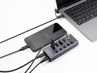 DELOCK USB hub 64248 με διακόπτες, 5x θυρών, 5Gbps, USB/USB-C σύνδεση, γκρι