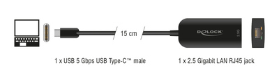 DELOCK αντάπτορας δικτύου 66046, USB-C, 2.5Gbps Ethernet, μαύρος